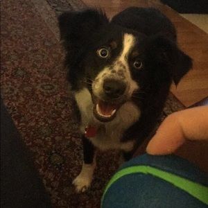 Meet your Posher, Brian